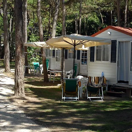 Kamp alanı Sabbiadoro